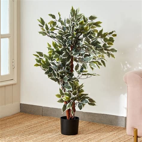 Buy Gardenia Ficus Artificial Variegate Plant in Pot from Home Centre ...