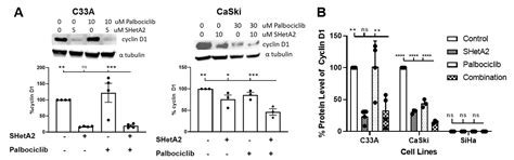 Complementary Targeting of Rb Phosphorylation and Growth in Cervical ...