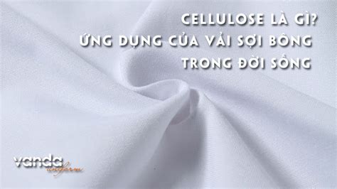 AMBIL SEKARANG