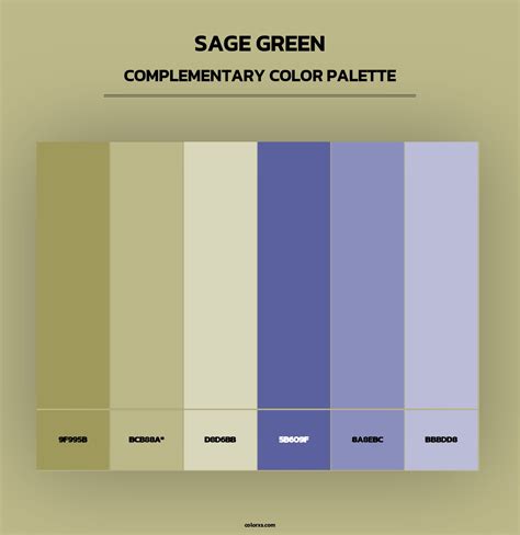 Image result for Sage Green Complementary Colors