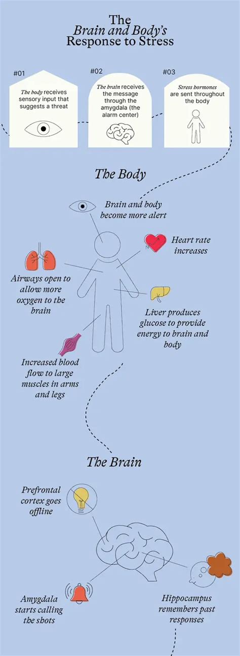 Image result for Stress Science