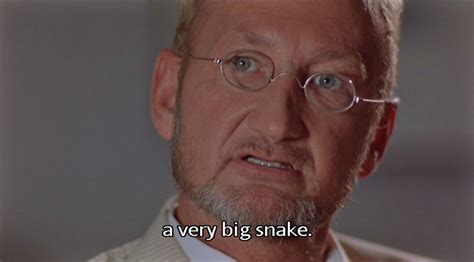 Python Film 的图像结果