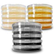 Buy Agar Variety Kit by Evviva Sciences - Prepoured Potato Dextrose ...