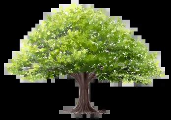 Our Locations | Johnson Funeral and Cremation Service