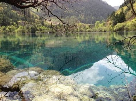 Wolong Sea (Jiuzhaigou County) - What to Know BEFORE You Go
