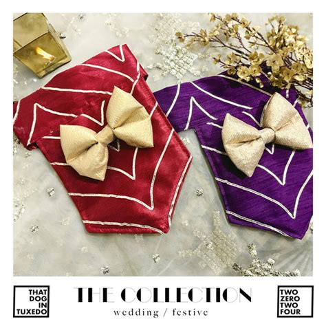 Rajwada Sherwani Bandana/Bib/Vest - Purple – That Dog In Tuxedo