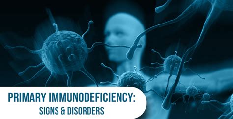 What Are The Primary Disorders Of The Immune System? | MrMed