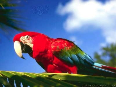 Image result for CreateTable SQL Cmd