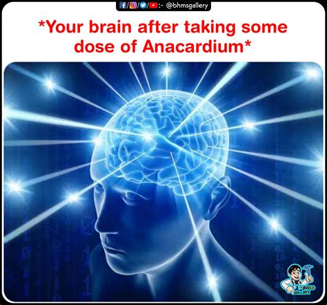 Smart Brain Memes J4m3s On X: "#dankmemes #dankmeme
