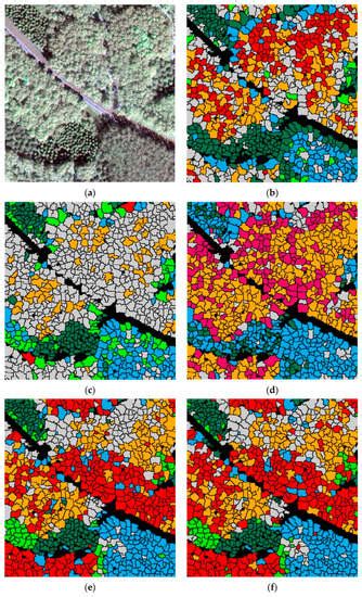 Remote Sensing | Special Issue : Mapping Tree Species Diversity
