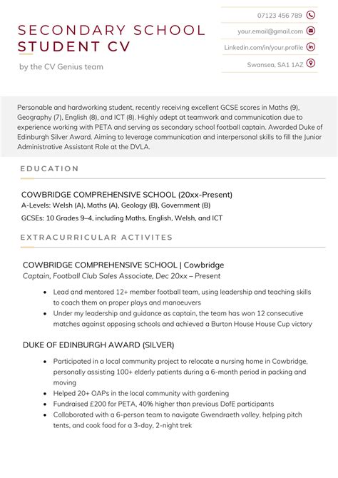 Image result for Student CV Examples