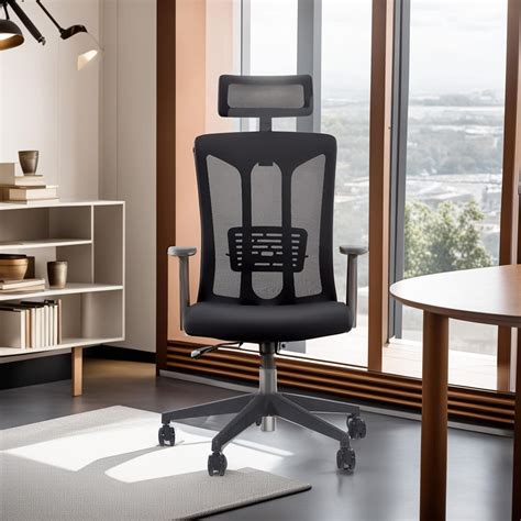SAVYA HOME Wisdom Ergonomic Office/Study Chair - High Back Executive ...