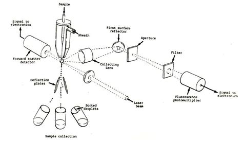 Image result for Electrostatic Cell Sorting