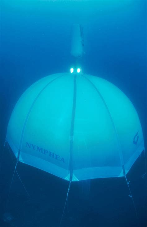 Image result for How to Capture a Spring