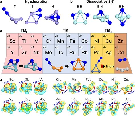 N2 Molecular Geometry