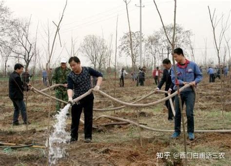 中国农业大学新闻网 媒体农大/科技之窗 今年的春耕不一般 耕地保护措施密集出台