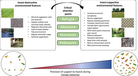 Image result for Insects Help Us How