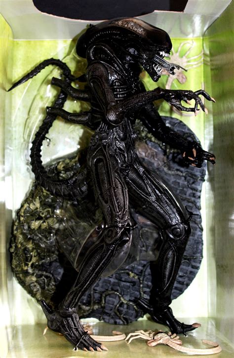 Image result for Alien Battle Macfaren