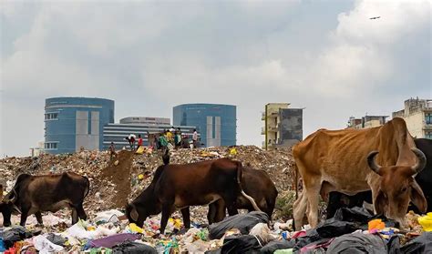 Waste-to-energy plants have mostly failed in India – and yet ...