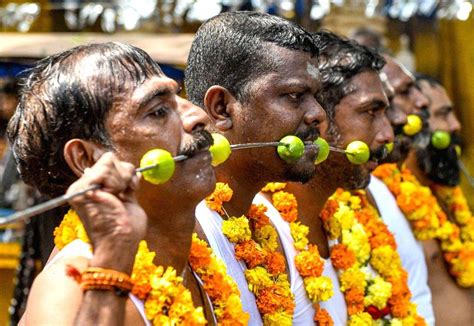 Devotees with their cheeks pierced with vel skewers take part in the ...