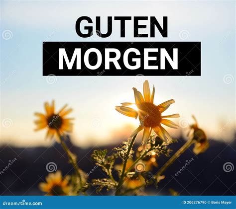 Guten Morgen - German Good Morning Title on a Sunrise Background with ...