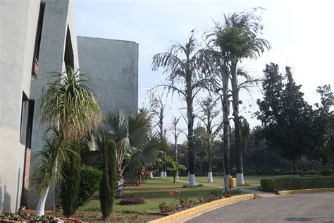 About CSIR | IMTECH’s Parent Organization | Official Website of CSIR ...