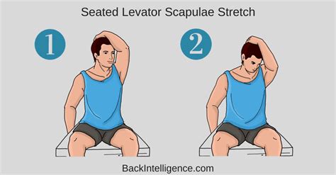 Scapula Stretching 的图像结果