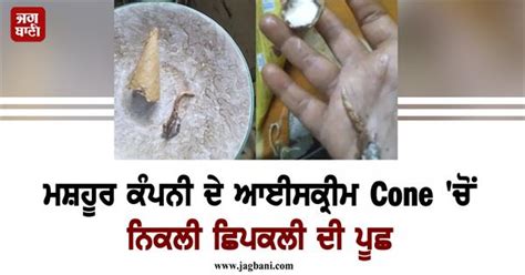 ਮਸ਼ਹੂਰ ਕੰਪਨੀ ਦੇ ਆਈਸਕ੍ਰੀਮ Cone 'ਚੋਂ ਨਿਕਲੀ ਛਿਪਕਲੀ ਦੀ ਪੂਛ, ਔਰਤ ਦੀ ਵਿਗੜੀ ਸਿਹਤ