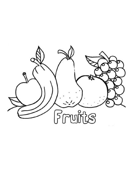 Fruits Coloring Pages Printable 的图像结果