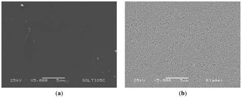New Dye-Sensitized Solar Cells Obtained from Extracted Bracts of ...