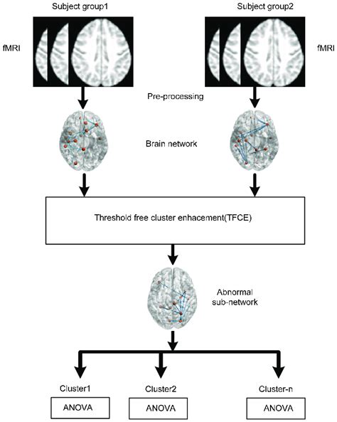 Data Analysis Steps 的图像结果