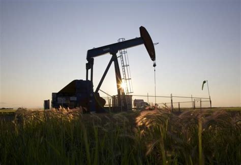 Brent crude oil prices firm as Abu Dhabi cuts exports - IBTimes India