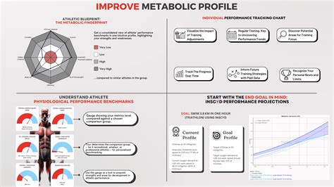 Improve Your Metabolic Profile: Key Metrics & Strategies