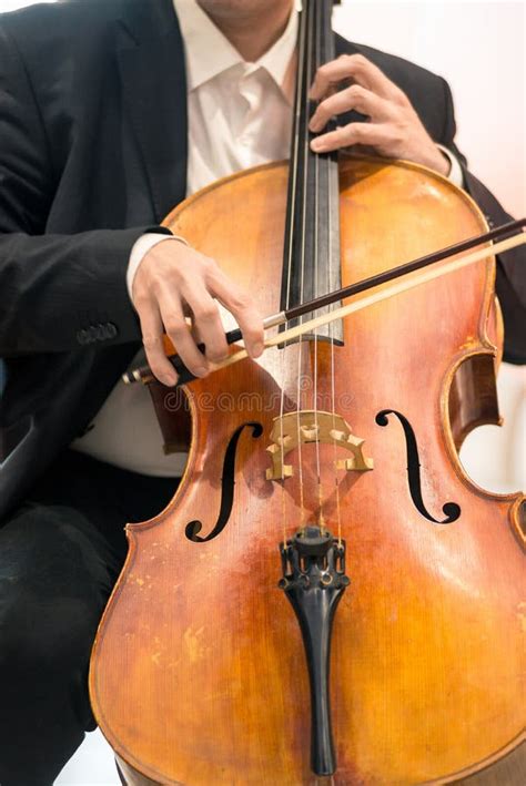 Image result for Viola String Instrument