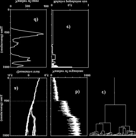 Evolution Simulation Process 的图像结果