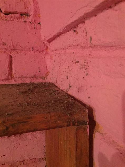 HOSTEL JAVIER'S HOUSE 2 (Nicaragua/San Juan del Sur) - Guesthouse ...