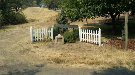 Historic Jacksonville Trolley Tour - 2022 What to Know Before You Go ...