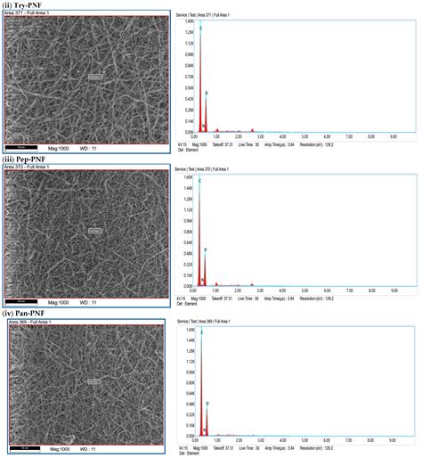 Synthesis, Characterization, and Enzyme Conjugation of Polycaprolactone ...
