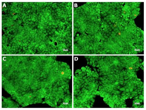 Physicochemical and Biological Properties of Gelatin Extracted from ...