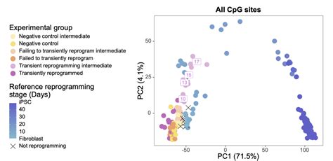 Image result for Partial Reprogramming