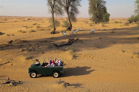 Desert Safari from Dubai by Land Rover: Camping and Activities 2021 ...
