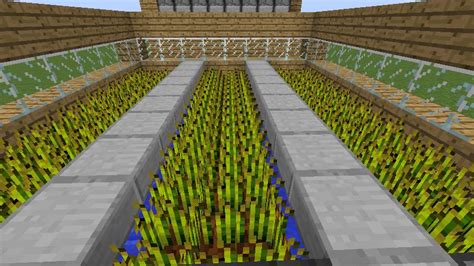 Automatic Farm Minecraft Map