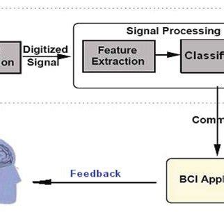 Brain Computer Interface 的图像结果