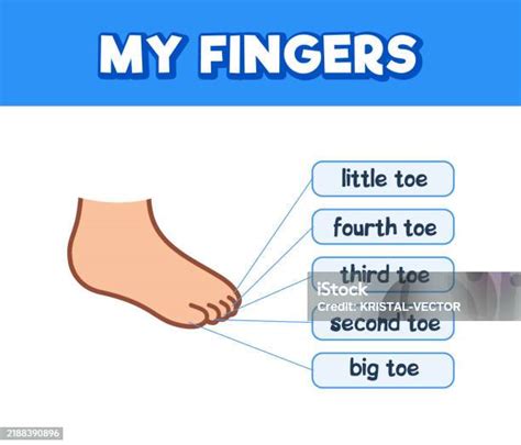 Image result for Write the Difference Between Microprocessor and Microcontroller