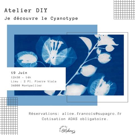 Atelier DIY Je découvre le Cyanotype, Place Viala, Montpellier, June 19 ...