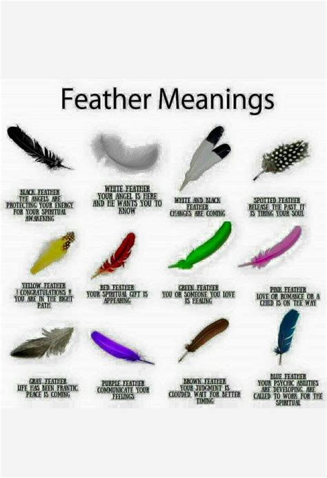 Feather signs color meanings – Artofit