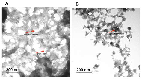 Stability and Antimicrobial Efficacy of Reuterin and Bacteriocins ...