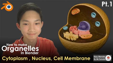 Image result for Blender Cell Animation Tutorial YouTube