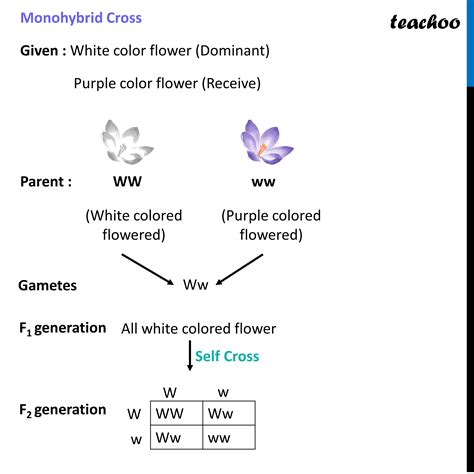 [Case Based] In a cross between plants with purple flowers and plants