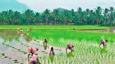 AP's Rythu Sadhikara Samstha bags international award at UN conference ...